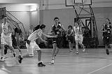 Basket C321127